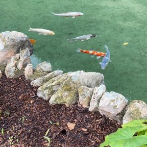 Meet your Posher, Millie